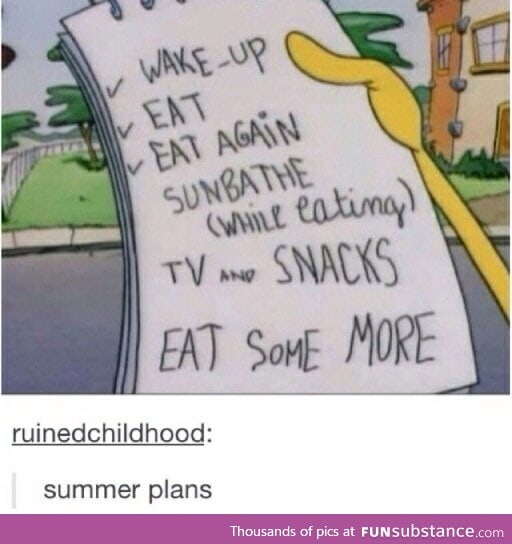 Summer Plans