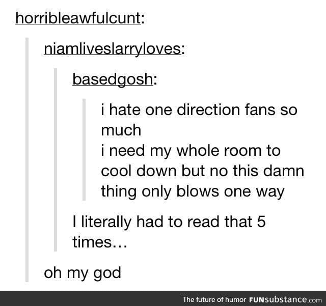 one direction fans