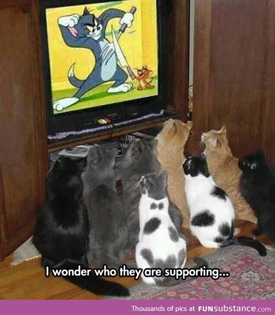 These guys love tom and jerry