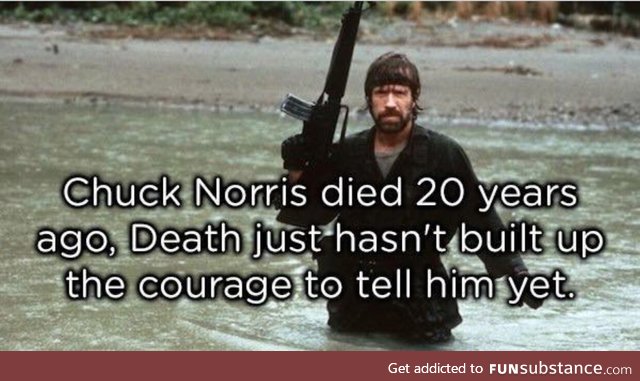 Check Norris fact