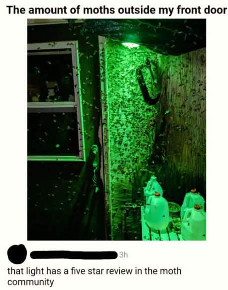 best club in the woods