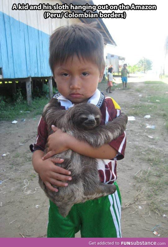 a boy and his sloth