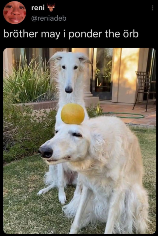 all knowledge is pulp