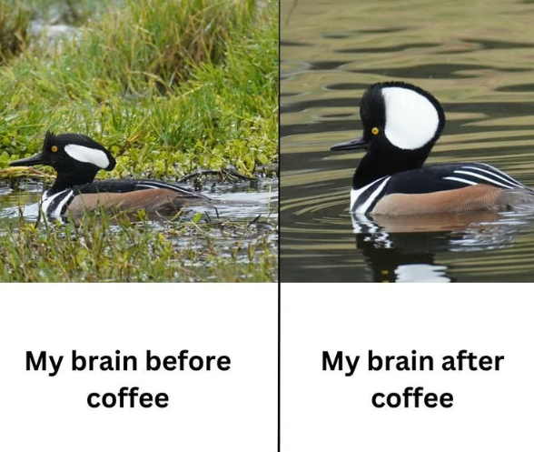 im in this photo and im okay with it