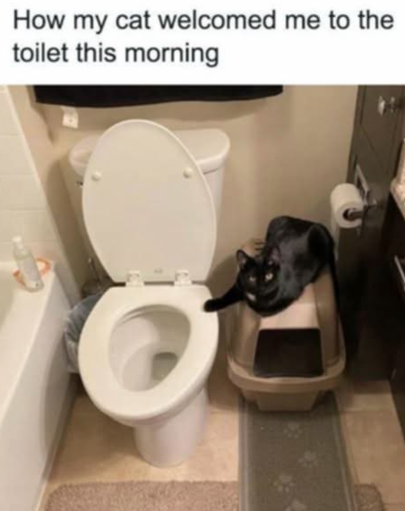 i see you also enjoy small boxes