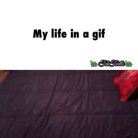 My life in a gif
