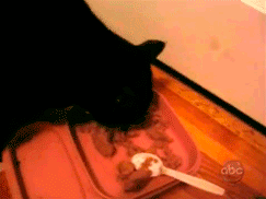 I'll just... Thanks
