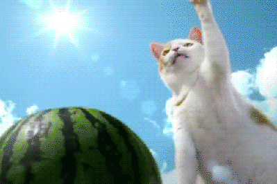 Super Cat cuts Watermelon