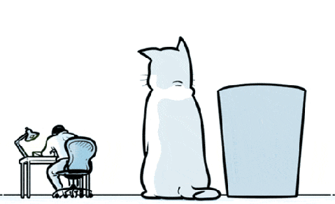 I wish my cat could do that