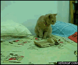 Avenge me!