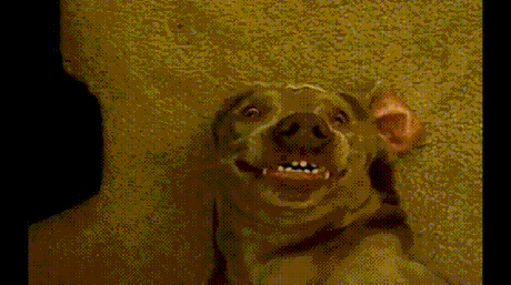 When I put myself in a really awkward situation.