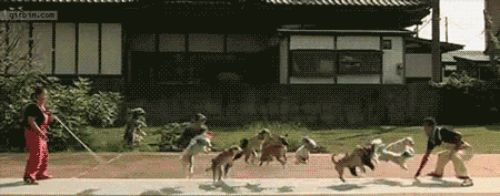 Jump rope!