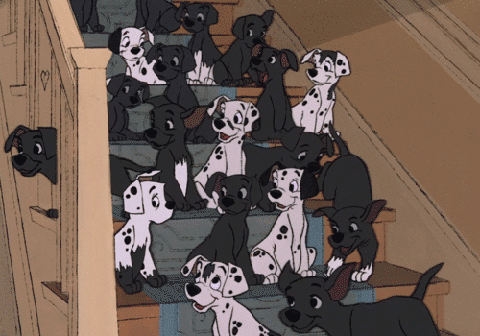Day 101 of your daily dose of cute: Get it? 101 dalmatians 101 posts