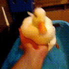 Let me swim human!