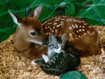 Buddies.