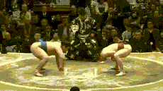 The Art of Fighting Without Fighting