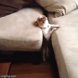 No, no I'm totally fine. Don't need any help