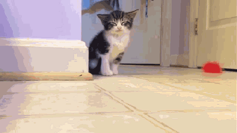 Yep, I totally meant to do that