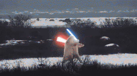 Polar bears fighting with light sabers
