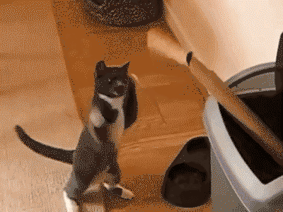 ninja training