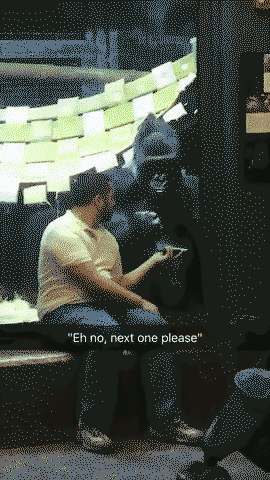 Gorilla chooses a girlfriend