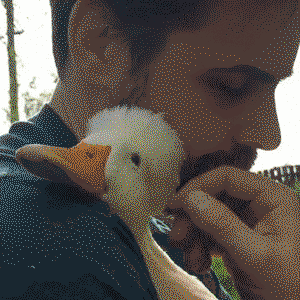 All I want is for someone to love me as much as this duck loves her human
