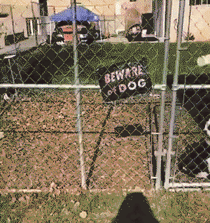 Beware of Dog. Don't trust him