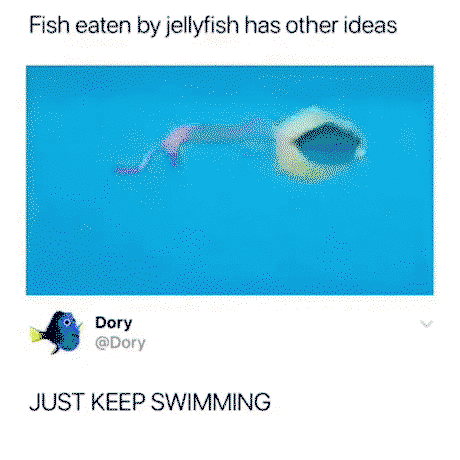 Keep swimming