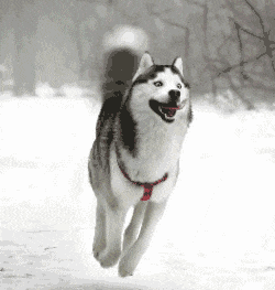 damn it moon moon, not again!