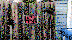 Beware of Dog!