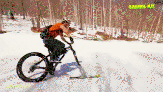 Ski biking