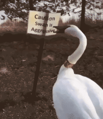 When you tell you girl to calm down