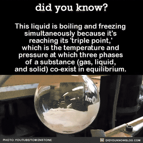 Liquid freezing and boiling at the same time