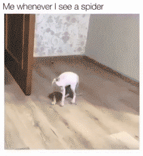 Huehuehue