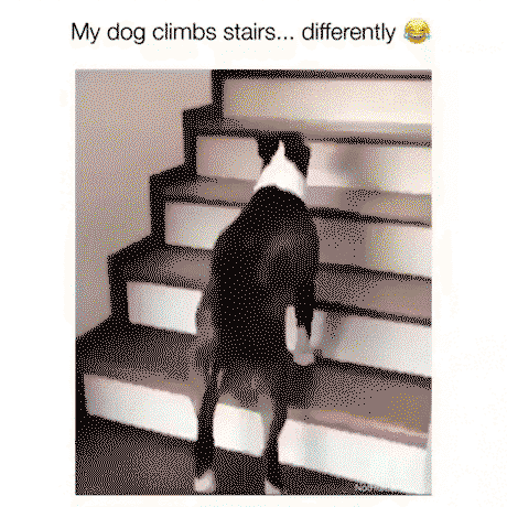 He does it so gracefully