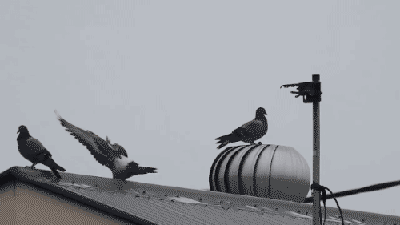 You spin me right round, baby