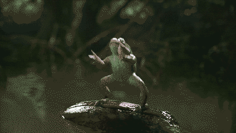 Froggo Fun #79 - Deez Nuts