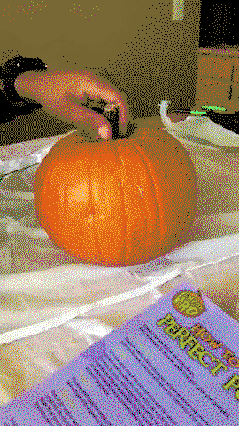 Don't kill the pumpkin