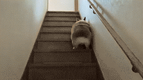 Okay... Bounce, bounce bounce, bounce