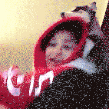 Reverse gif turns a yesyesyesno to nonononoyes
