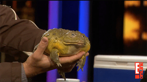 Froggos '23 #173/Special - Happy Father's Day!