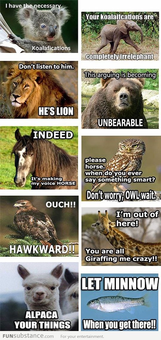 Animals telling jokes