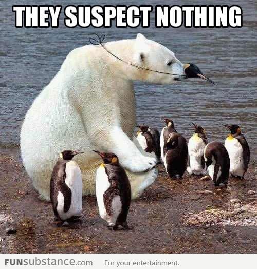 They still suspect nothing