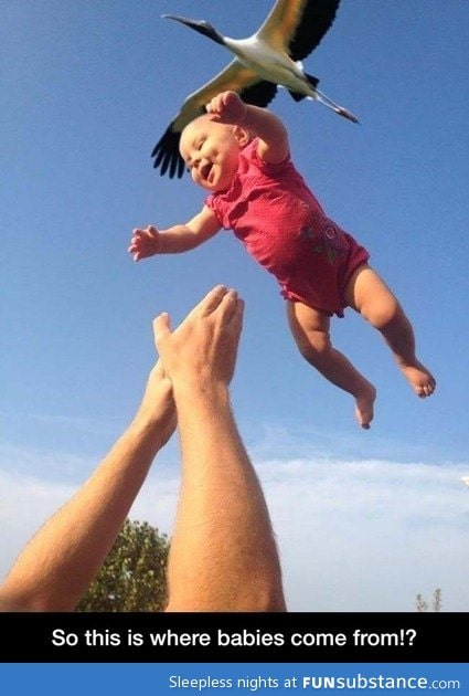 Where babies come from