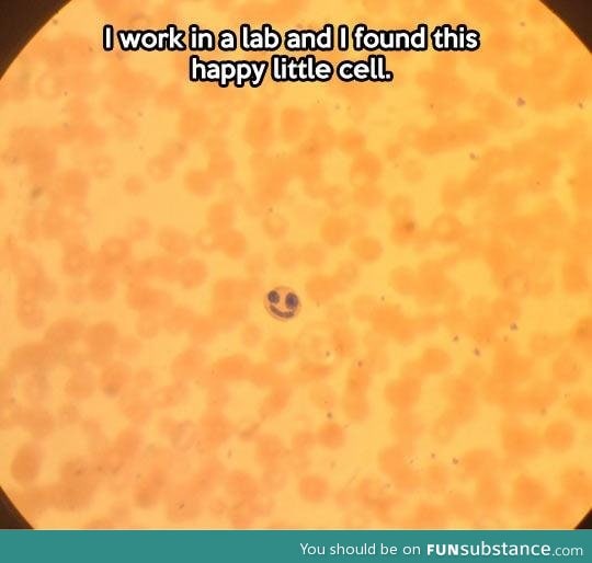 D'aww the happy cell!