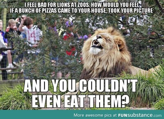 It's very unfair for lions