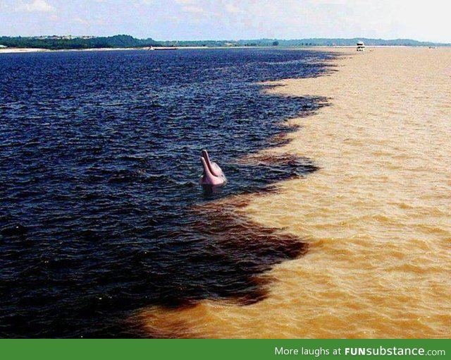 "meeting of the waters", the amazon river meets the rio negro in brazil