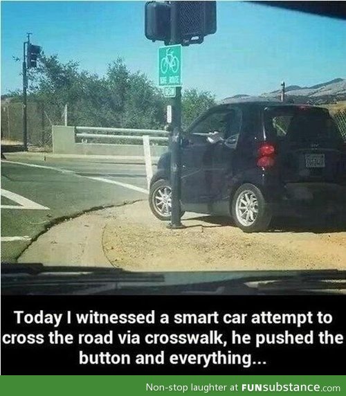 The only way to cross a street safely