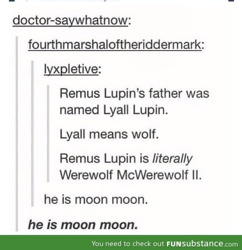 He is MOON MOON