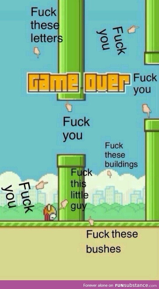 Damn you flappy bird